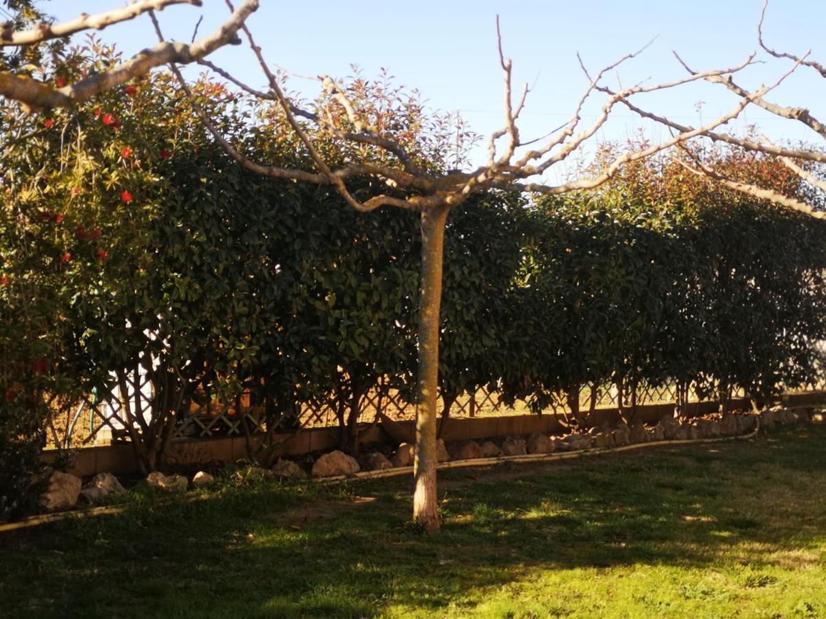 Casa rural, masia antigua restaurada Begur Bagian luar foto
